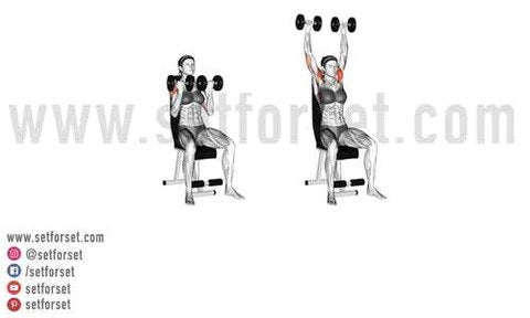 The Ultimate Upper Body Workout For Women - SET FOR SET