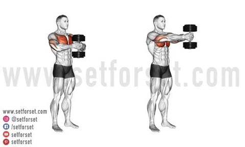 upper chest dumbbell exercises