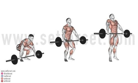 Upright Rows Are Bad for You! Here Are 3 Alternatives - Steel Supplements