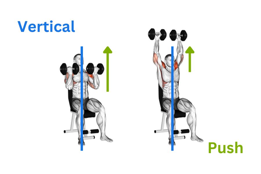 vertical push exercises