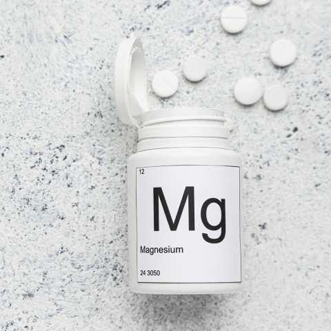 magnesium metabolism