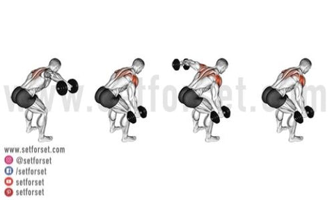 What is the best exercise for the back shoulder area?