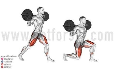 what muscles do split squats work