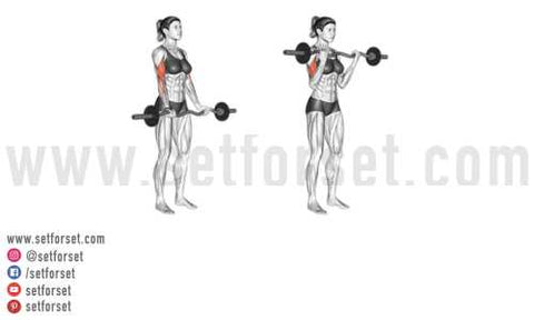 The Best Bicep Workouts For Women - SET FOR SET