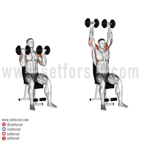 workout with dumbbells for beginners