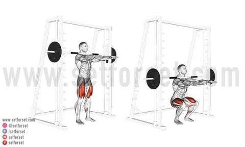 What Muscles Are Worked During Squats? - Steel Supplements