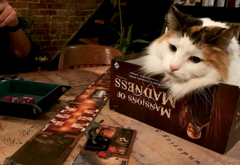 Arrow the Cat in the Mansions of Madness game box