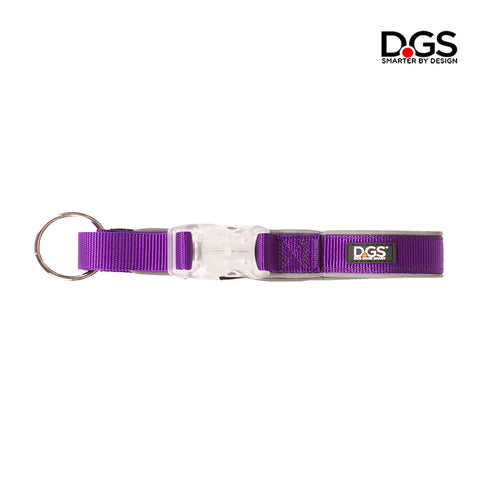 purple led dog collar