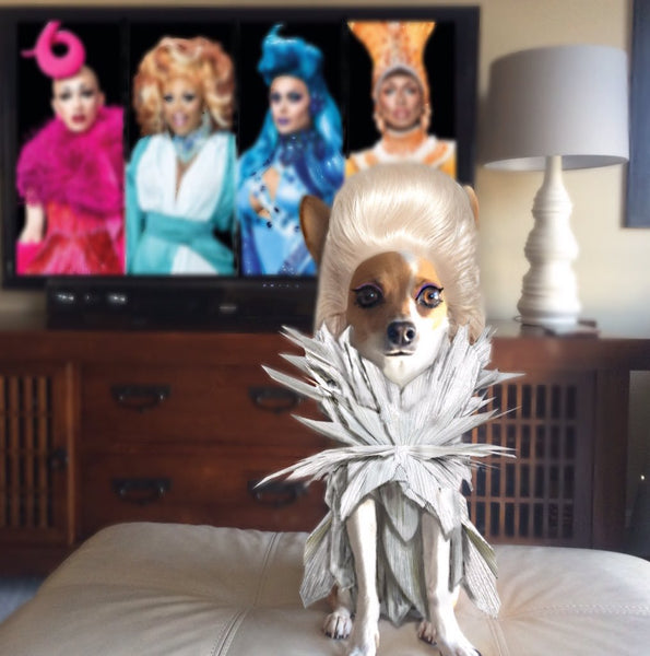 Rupawl Doggie Drag Queen