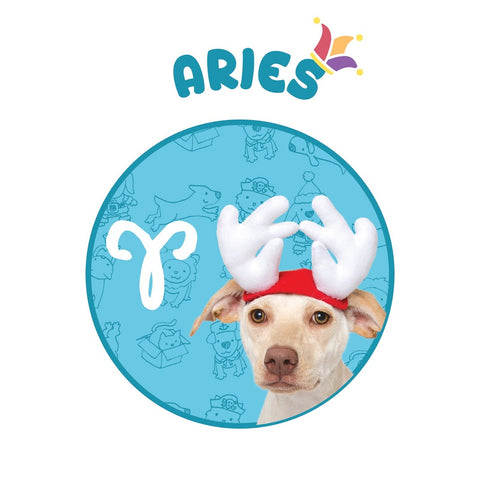 Christmas dog Aries horoscope