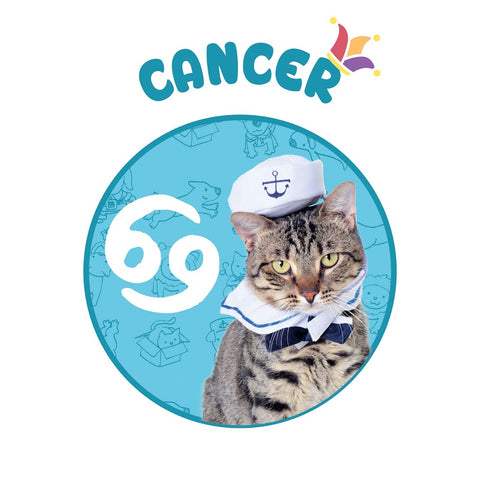 sailor cat costume cancer horoscope