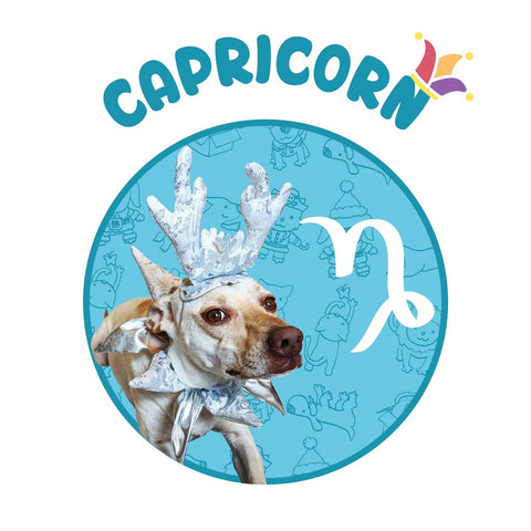 funny dog silver antler Capricorn horoscope
