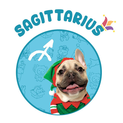 elf dog french bulldog Sagittarius hororscope