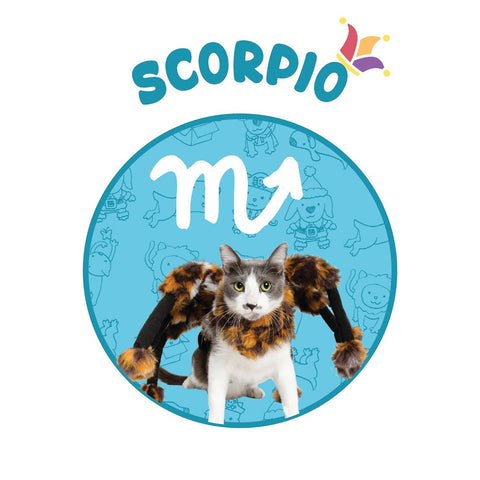 scorpio horoscope spider cat costume