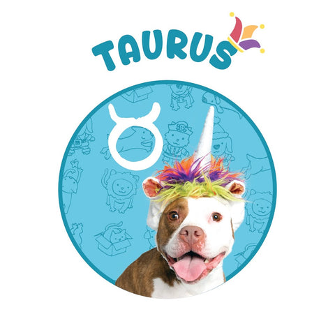 unicorn dog costume Taurus horoscope 