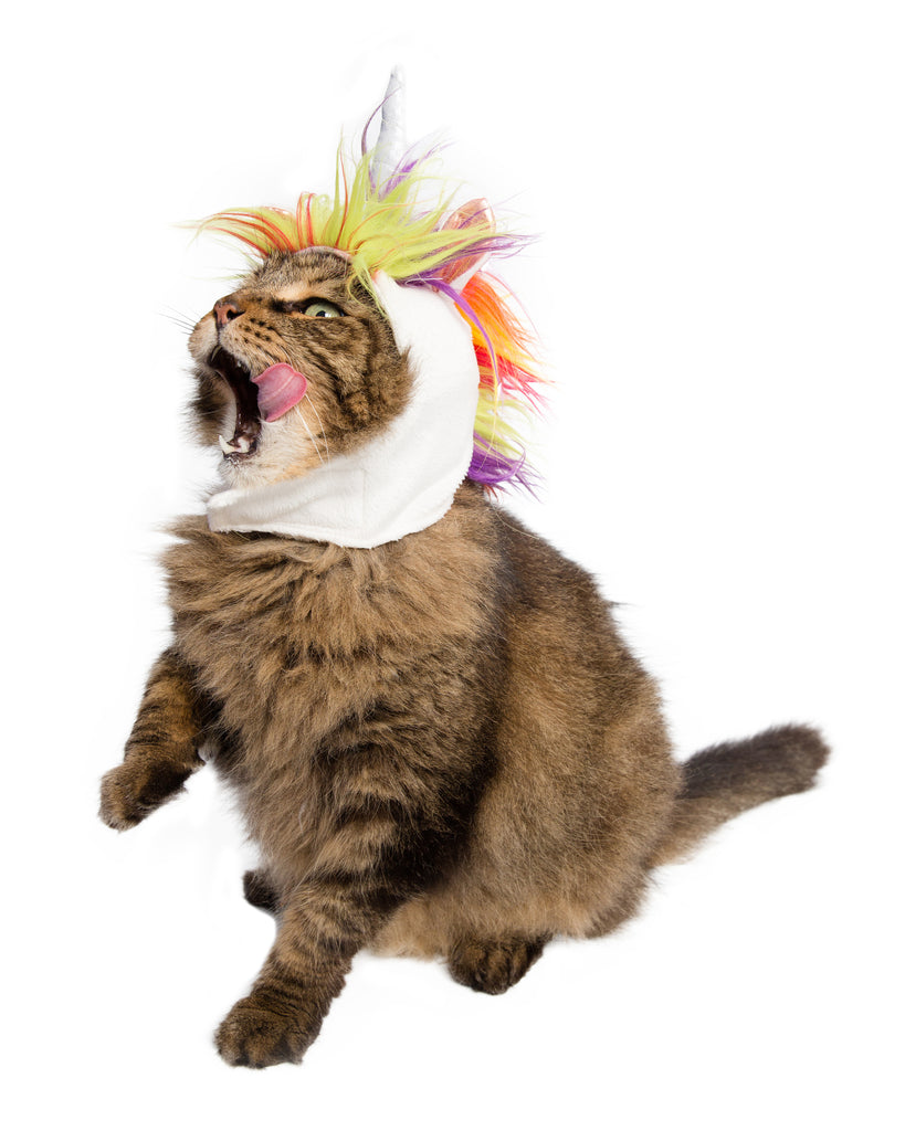 Unicorn Cat Costume for Large and Small Cats