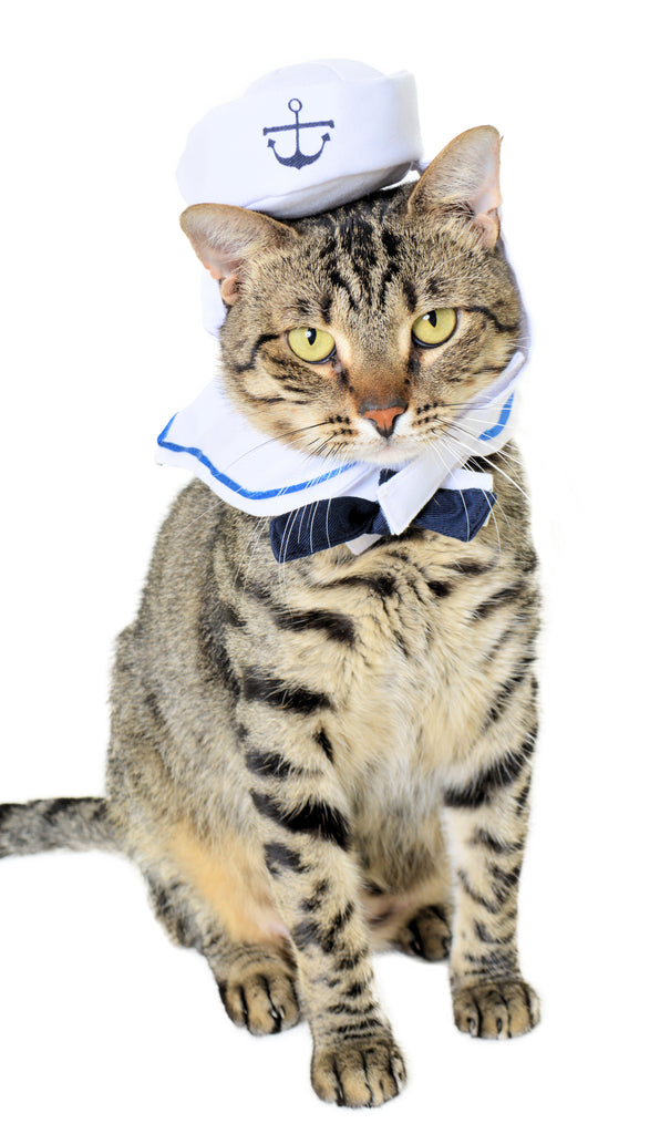 sailor cat shirt, hat, and bow tie costume