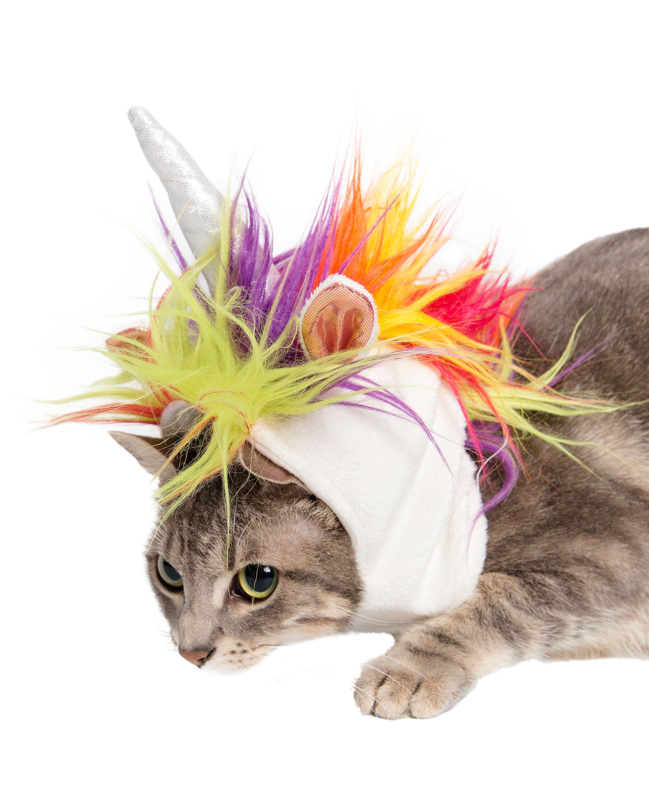Unicorn Cat Costume for Large and Small Cats. Free Shipping. – Pet Krewe