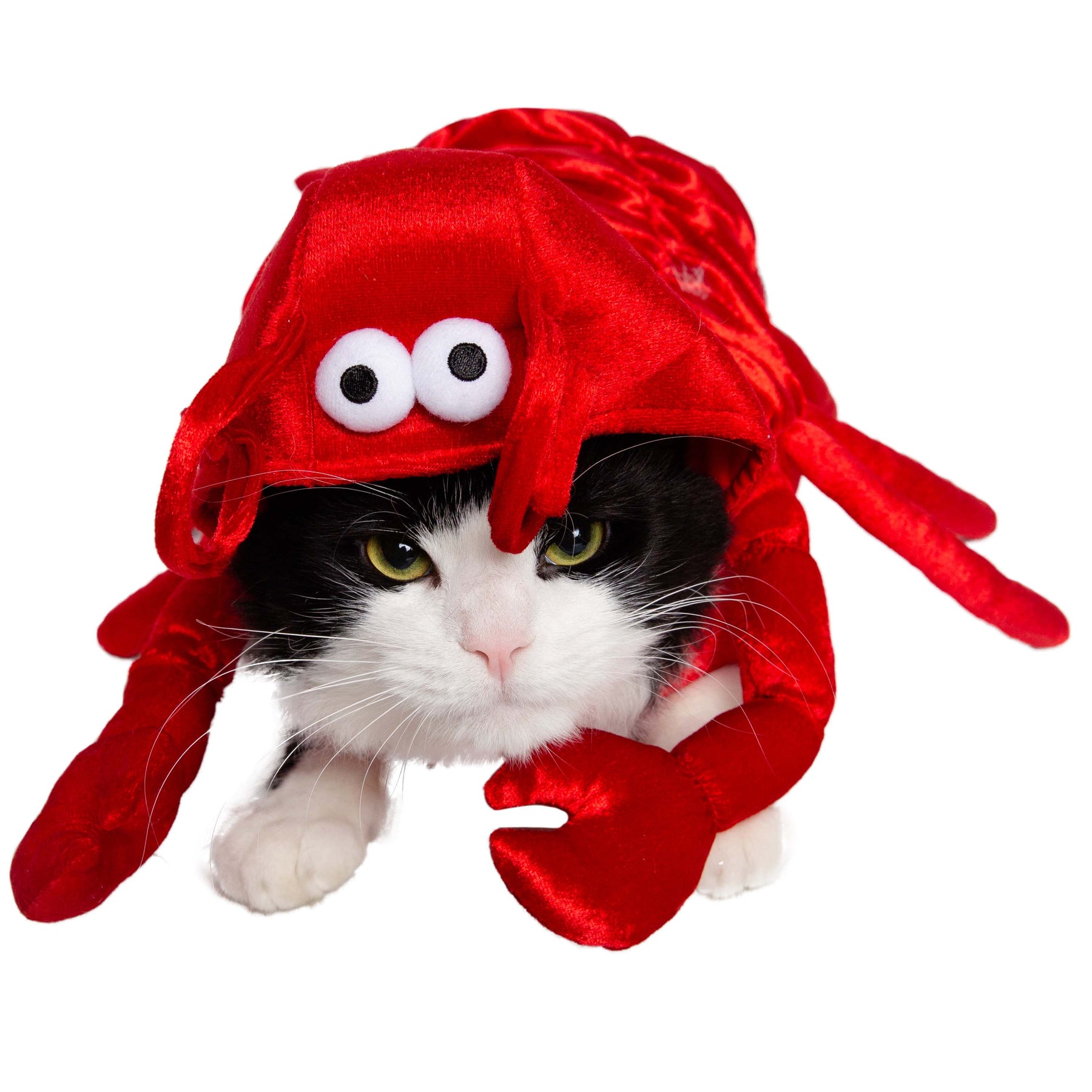 Lobster Cat Costume