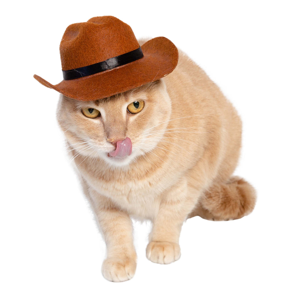  Meihejia Halloween Cat Cowboy Costume Hat Funny