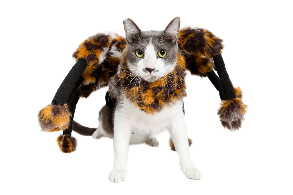 Scary Spider Cat Costume by Pet Krewe