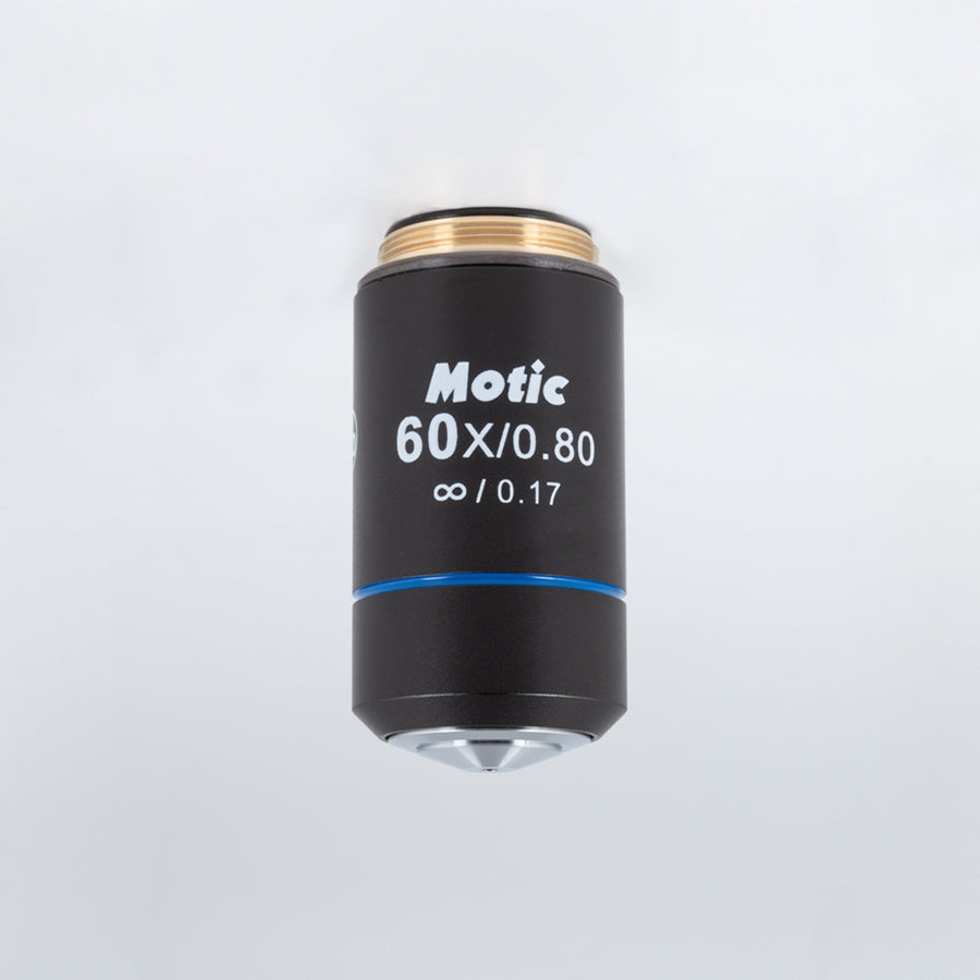 BA Objective - CCIS® Plan achromatic objective EC PL 60X/0.80/S (WD=0.35mm) - (1101001703621)