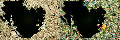 Mineral Section in Bright Field Microscopy