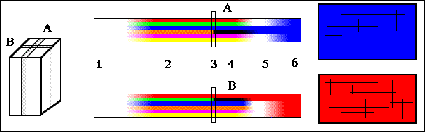 Pleochroism two plates cut from same mineral