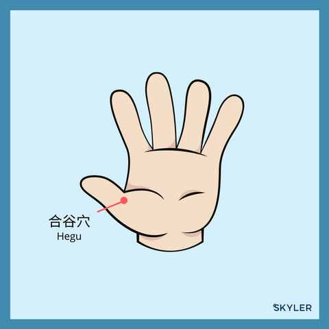 Hegu Acupressure Point