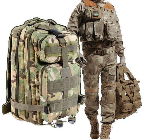 Loaded carry. Система Молли на рюкзаке. Modular Lightweight load-carrying Equipment (Molle) 4000. Американский военный рюкзак Молли 2. Рюкзак Молли тактический.