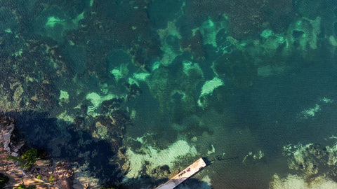 The ocean in Mallorca, Spain, where SeaTrees is planting seagrass.