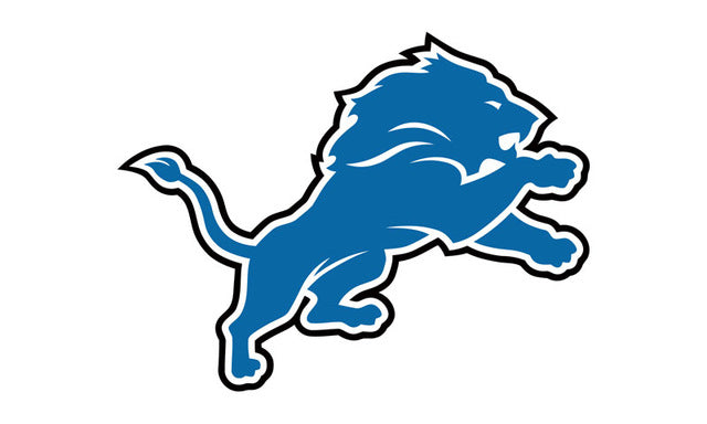 Fabulous Detroit Lions Flags Team Logo Banners 90x150 cm – Best Funny Store