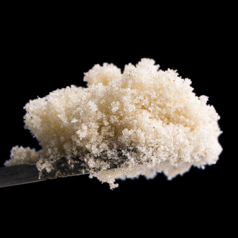 Isolated Trichome Heads