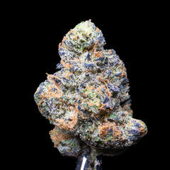 Cannabis bud