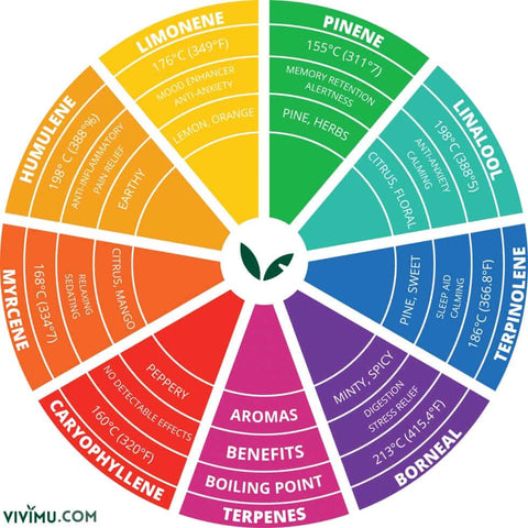 color wheel chart of terpenes