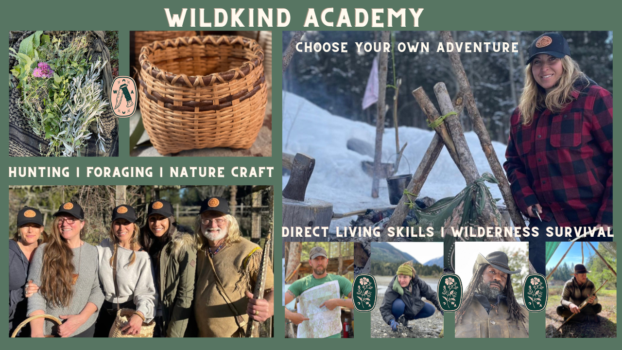 Wild Kind Academy