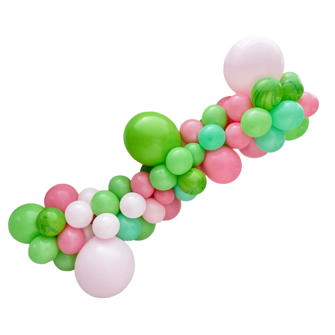 Pastel Gender Reveal Balloon Garland Kit – Lushra