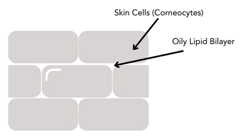 Diagram of brick wall skin structure.