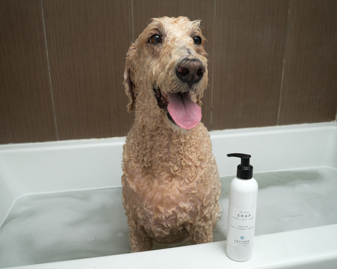 Penny in a Bath with All Over Soap