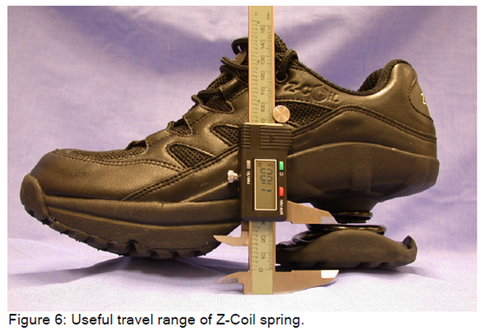 Market Research For Shoes. Z-Coil'S Reduce Impact And Pain