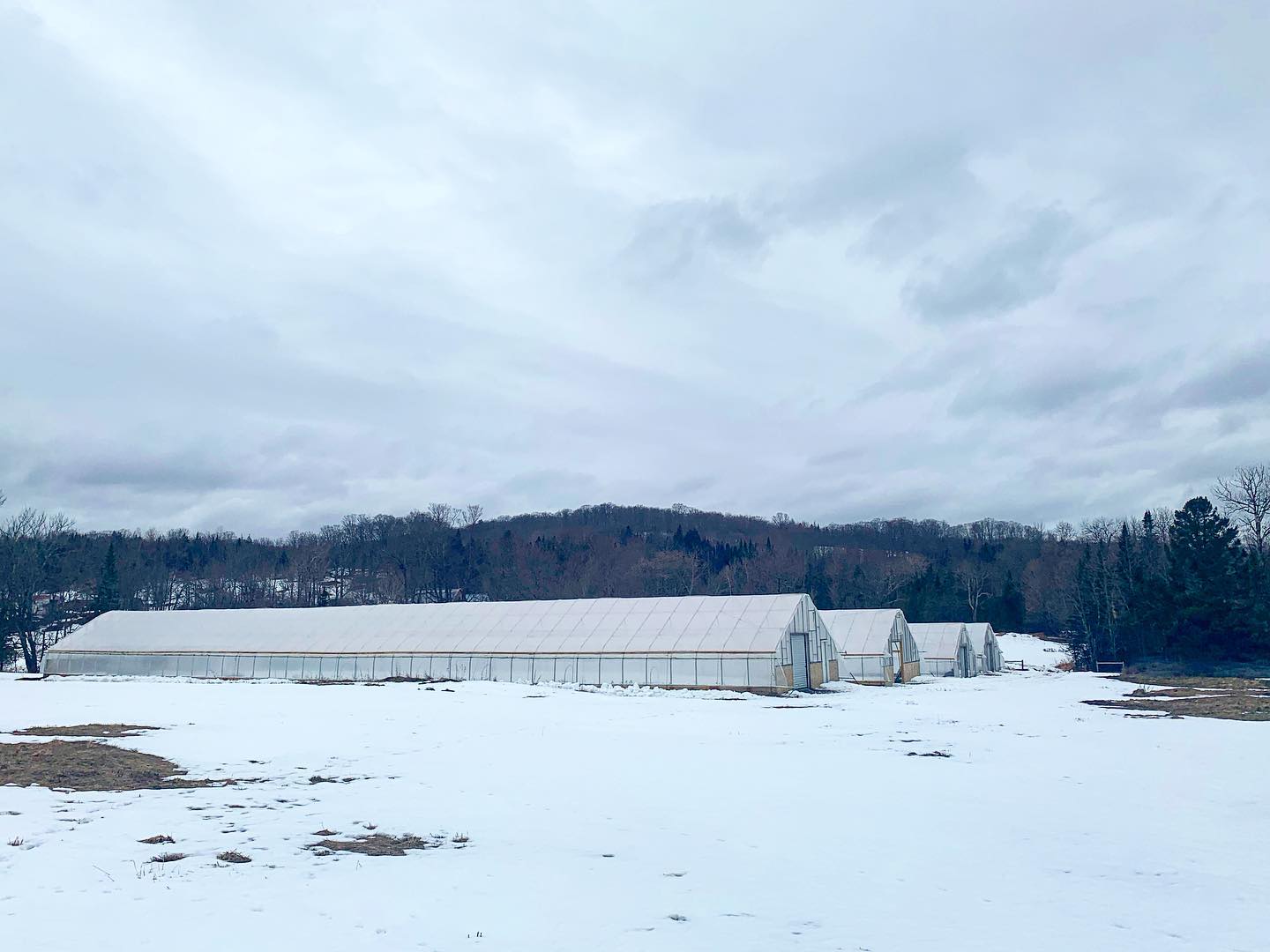 Snowy Vermont landscape with high tunnels and gray sky 