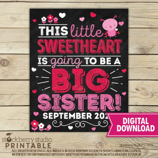 Valentine's Day Big Sister Announcement Sign