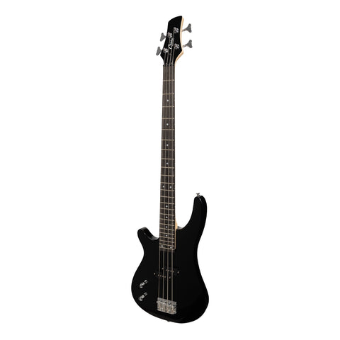 lefty bass guitar