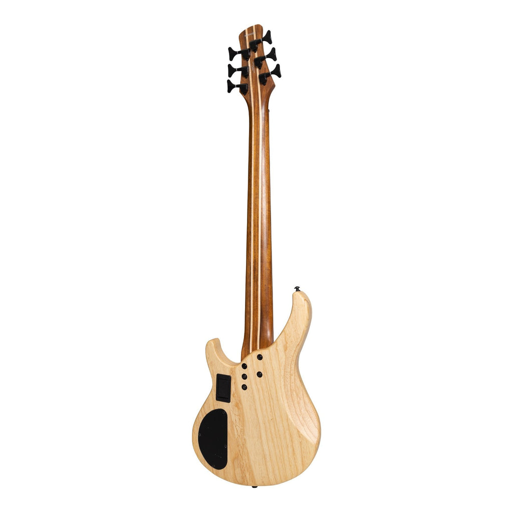 6 string electric bass guitar