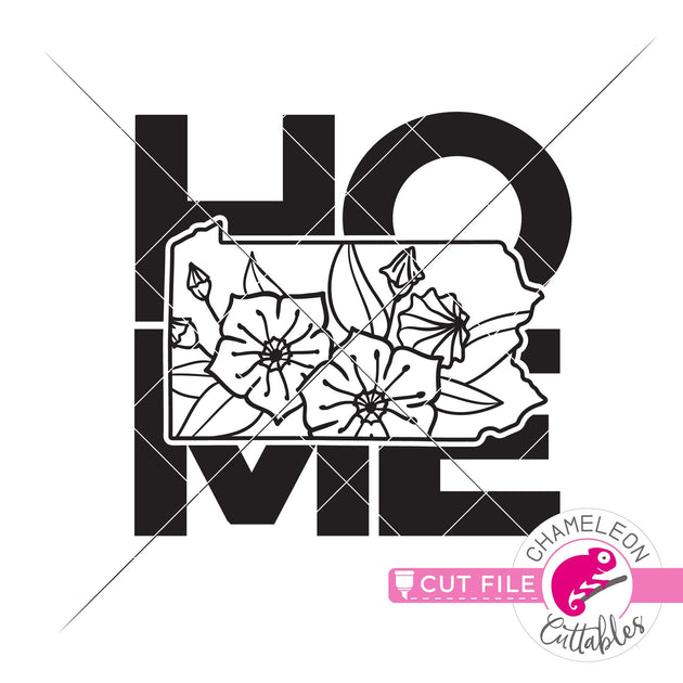 Home Pennsylvania state flower mountain laurel square svg png dxf eps ...