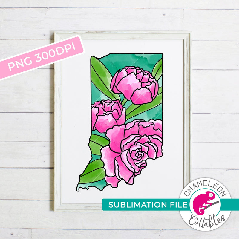 Download Sublimation Design Indiana State Flower Peony Watercolor Png File Chameleon Cuttables Llc Chameleon Cuttables Llc