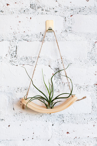 Horsemen Co. Wooden Air Plant Cradle