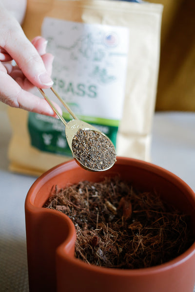 hand adding scoop of Frass fertilizer to pot of soil