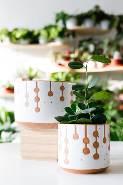 Joan Laidig ceramic planter