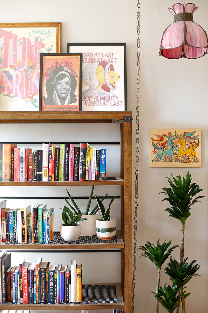 A wall with a bookcase on it, low & medium light plants like Sansevieria and Dracaena sit on the shelf and next to it. No window is visible.